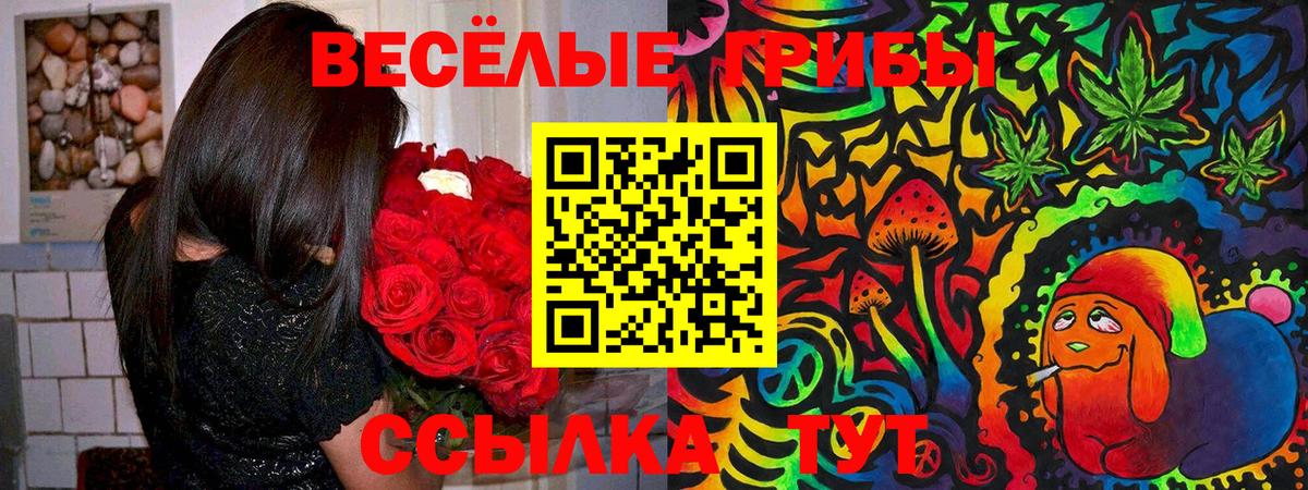Ангарск  Псилоцибиновые грибы Cubensis  Вход с VPN  Псилоцибиновые грибы Magic Shrooms 